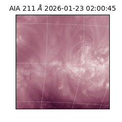 saia - 2026-01-23T02:00:45.625000