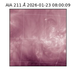 saia - 2026-01-23T08:00:09.632000