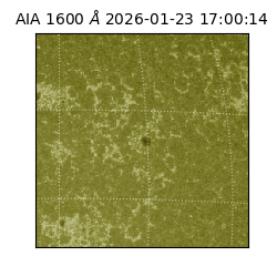 saia - 2026-01-23T17:00:14.126000
