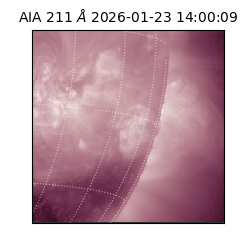 saia - 2026-01-23T14:00:09.626000