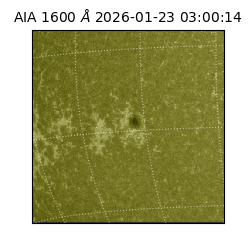 saia - 2026-01-23T03:00:14.126000