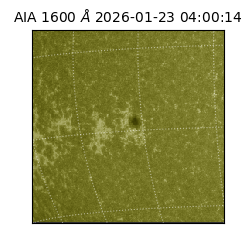saia - 2026-01-23T04:00:14.125000