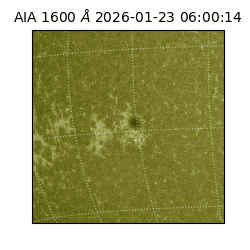 saia - 2026-01-23T06:00:14.118000