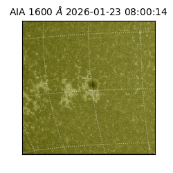 saia - 2026-01-23T08:00:14.131000