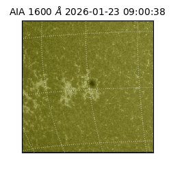 saia - 2026-01-23T09:00:38.126000