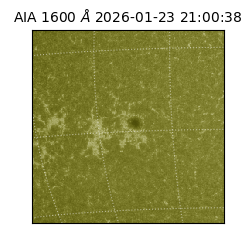 saia - 2026-01-23T21:00:38.126000