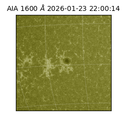 saia - 2026-01-23T22:00:14.126000