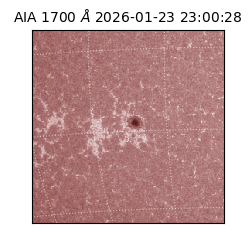 saia - 2026-01-23T23:00:28.734000