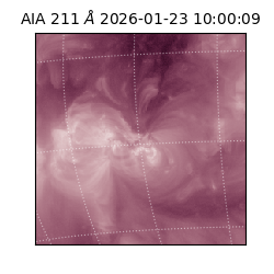 saia - 2026-01-23T10:00:09.626000
