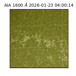 saia - 2026-01-23T04:00:14.125000