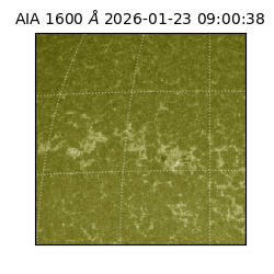 saia - 2026-01-23T09:00:38.126000