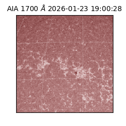 saia - 2026-01-23T19:00:28.717000