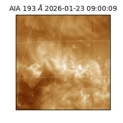 saia - 2026-01-23T09:00:09.468000