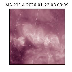 saia - 2026-01-23T08:00:09.632000