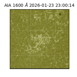 saia - 2026-01-23T23:00:14.118000