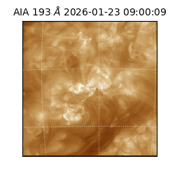 saia - 2026-01-23T09:00:09.468000