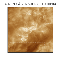 saia - 2026-01-23T19:00:04.842000