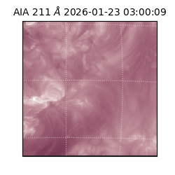 saia - 2026-01-23T03:00:09.626000