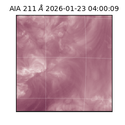 saia - 2026-01-23T04:00:09.626000