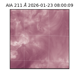 saia - 2026-01-23T08:00:09.632000