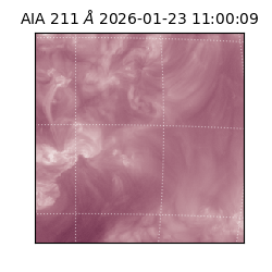 saia - 2026-01-23T11:00:09.626000