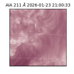 saia - 2026-01-23T21:00:33.626000