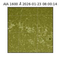 saia - 2026-01-23T08:00:14.131000