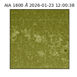 saia - 2026-01-23T12:00:38.118000