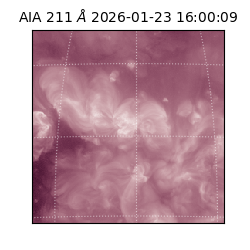 saia - 2026-01-23T16:00:09.626000