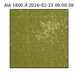 saia - 2026-01-23T09:00:38.126000