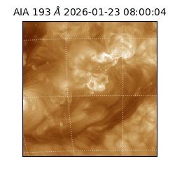 saia - 2026-01-23T08:00:04.843000