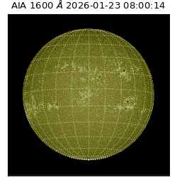 saia - 2026-01-23T08:00:14.131000