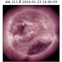 saia - 2026-01-23T14:00:09.626000
