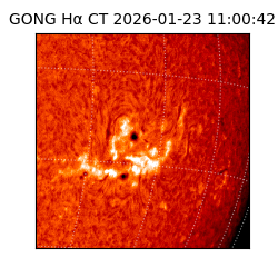 gong - 2026-01-23T11:00:42