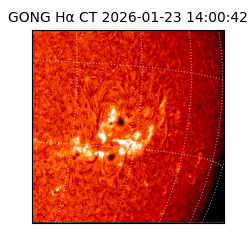 gong - 2026-01-23T14:00:42