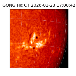 gong - 2026-01-23T17:00:42
