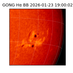 gong - 2026-01-23T19:00:02