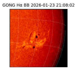 gong - 2026-01-23T21:08:02
