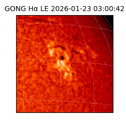 gong - 2026-01-23T03:00:42
