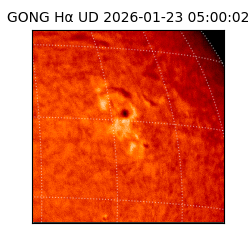 gong - 2026-01-23T05:00:02