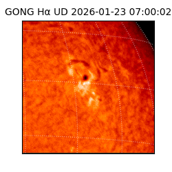 gong - 2026-01-23T07:00:02