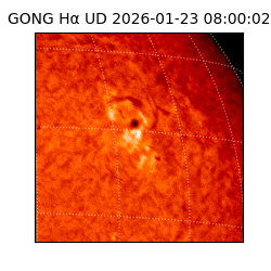 gong - 2026-01-23T08:00:02