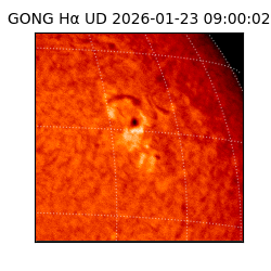 gong - 2026-01-23T09:00:02