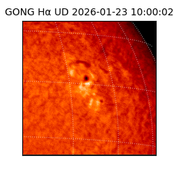 gong - 2026-01-23T10:00:02