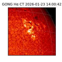 gong - 2026-01-23T14:00:42