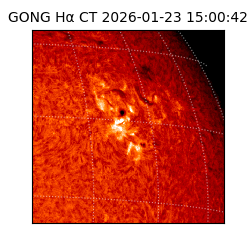gong - 2026-01-23T15:00:42