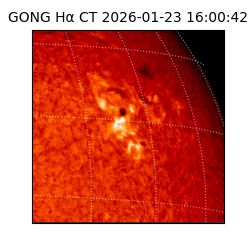 gong - 2026-01-23T16:00:42