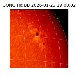 gong - 2026-01-23T19:00:02