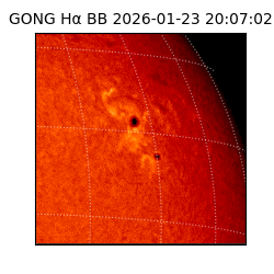 gong - 2026-01-23T20:07:02