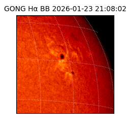 gong - 2026-01-23T21:08:02